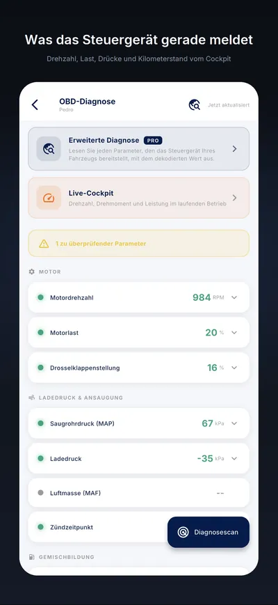 Die Diagnose des Steuerger&auml;ts