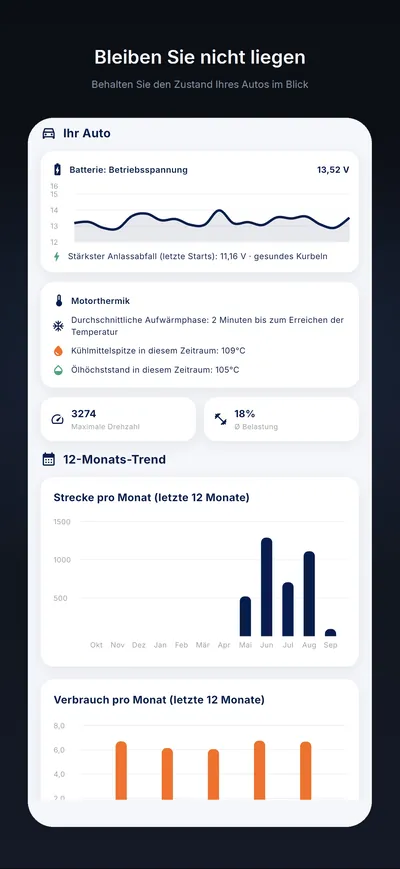 Die Batterie im Zeitverlauf