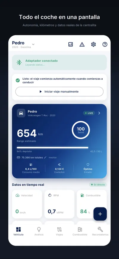 La ficha del coche