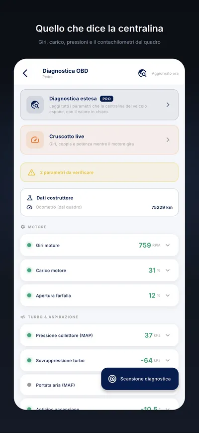 La diagnosi della centralina