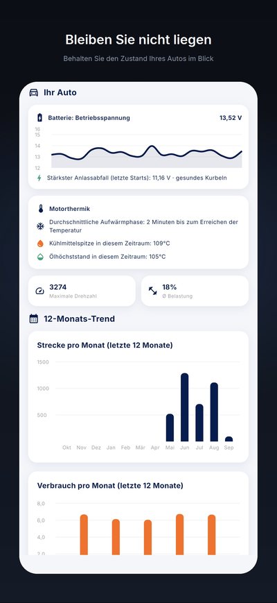Statistiken: Batteriespannung im Zeitverlauf, Motortemperaturen, Strecke und Verbrauch der letzten 12 Monate.