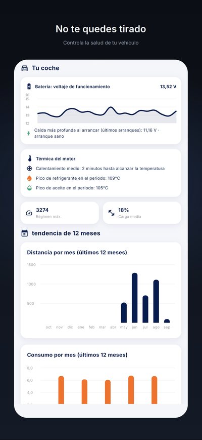 Las estadísticas: tensión de la batería a lo largo del tiempo, temperaturas del motor, distancia y consumo de los últimos 12 meses.