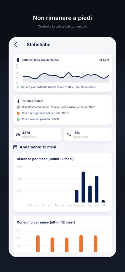 Le statistiche: tensione della batteria nel tempo, temperature del motore, distanza e consumo degli ultimi 12 mesi.