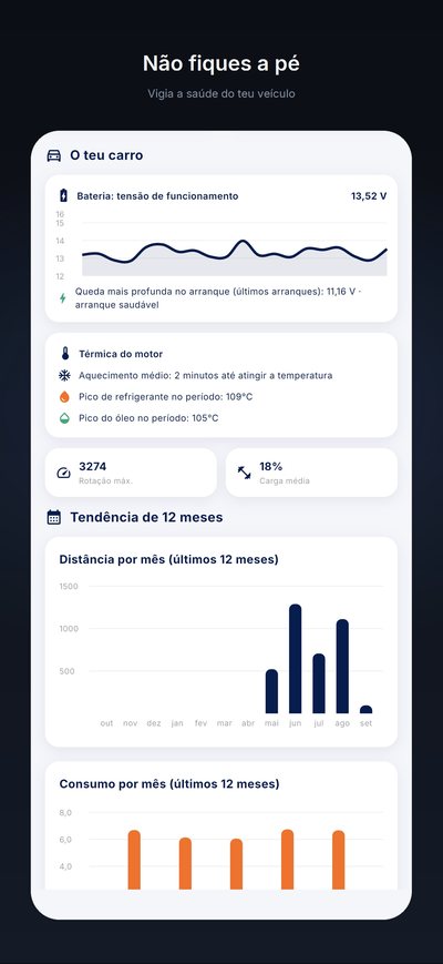 As estatísticas: tensão da bateria ao longo do tempo, temperaturas do motor, distância e consumo dos últimos 12 meses.